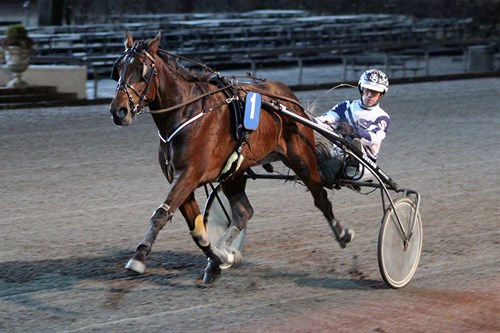 Bornholmsk hesteopdr�t stort sl�et i Sverige