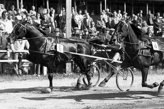 Kvinden bag Nikodemus 70 �r i dag