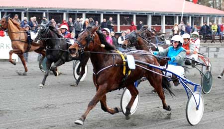 Endnu en ny travhest k�bt til Bornholm