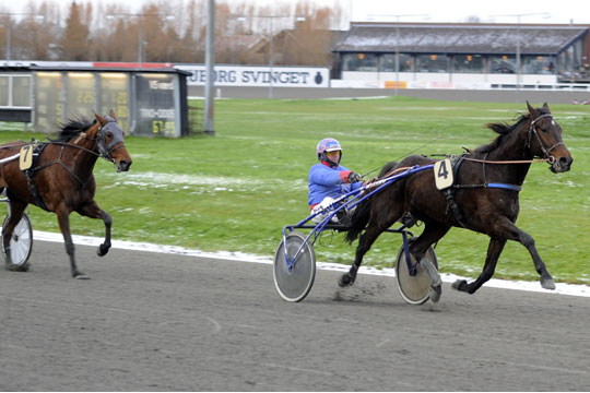 Ny herlig bornholmerdag i travsport