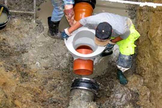 Rottesp�rrer har virket i 27 �r p� Bornholm