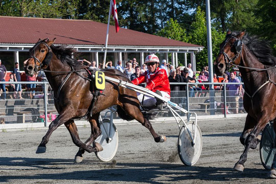 Muligvis en start mere i Sverige for �rets travhest