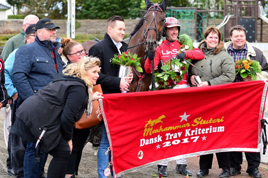 Stutteri Ice m�nedens opdr�tter i Danmark