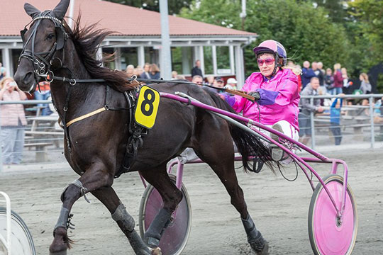 Ny travhest handlet til Bornholm
