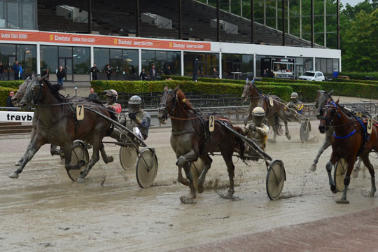 Professionel bornholmer tilfreds med 2017