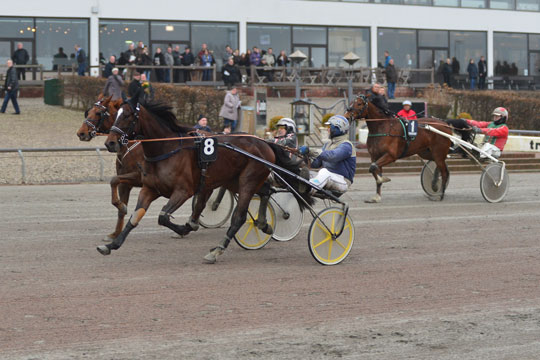 Bornholmer imponerede med svensk derbyh�b