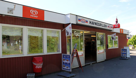 33-�rig sigtet for databedrageri og narko