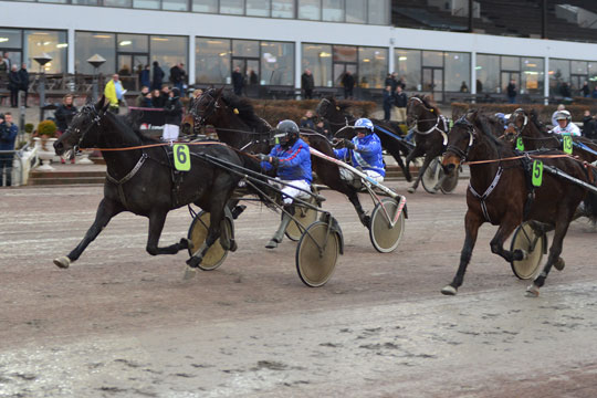 Bornholmer vandt til �rets h�jeste odds i Danmark