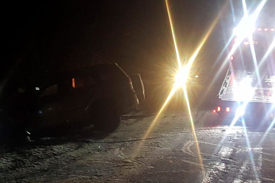 Glatf�reuheld p� Nyker Strandvej