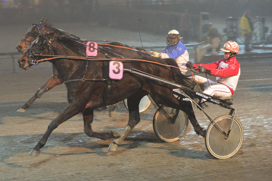 Fire bornholmere til l�b i K�benhavn p� s�ndag