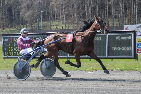 Bornholmeropdr�t s�sondebuterer p� fredag