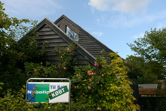 Husejere har tjent 379 kr. om dagen