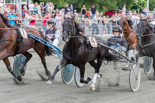 Bornholms champion hylder Frank Mikkelsen