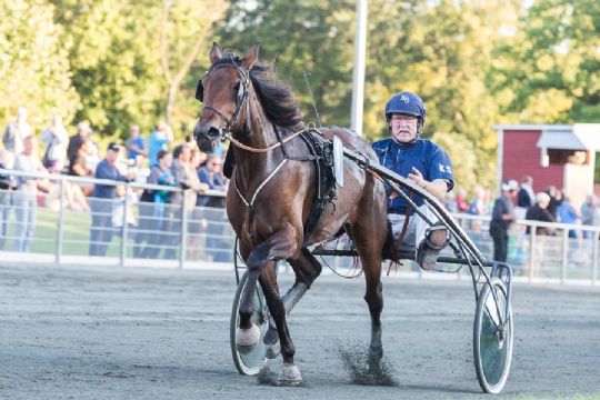 Derfor har Str�bys heste d�rlige spor l�rdag