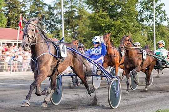 M�ngder med bornholmerchancer i hovedstaden