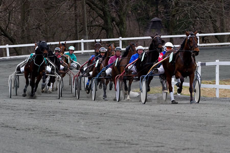 �nsker dele af travbanen bygges om