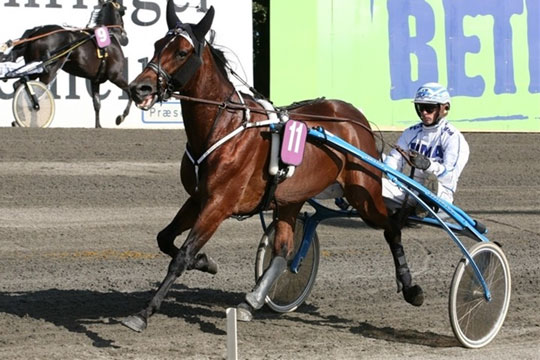 Derbyvinder tr�ner 12 km pr. tr�ningspas