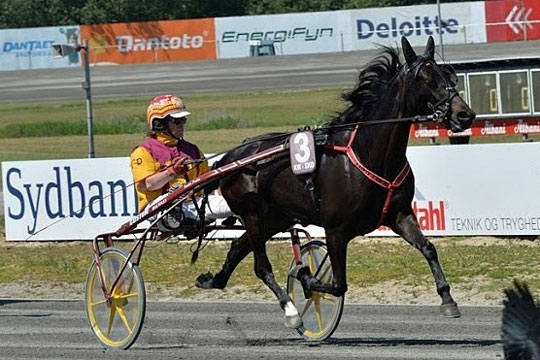 11. pr�mie i tr�k til bornholmeropdr�t