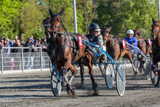 Jubels�son for andelsstald