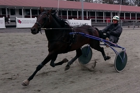 Danmarksmesteren Open har forandret sig totalt