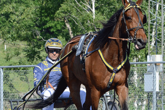 Bornholmeropdr�t dummede sig i Sk�ne