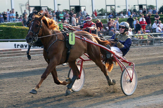 Hovedstadsbanen giver gr�nt lys til bornholmer