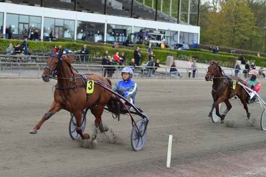 Langt over en kvart million frister ikke hesteejer