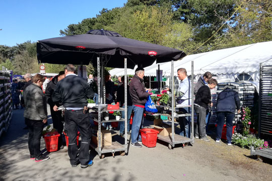 Blomstermarked vokser sig st�rre �r for �r