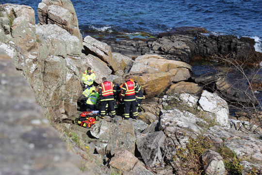 68-�rig mand omkom efter faldulykke