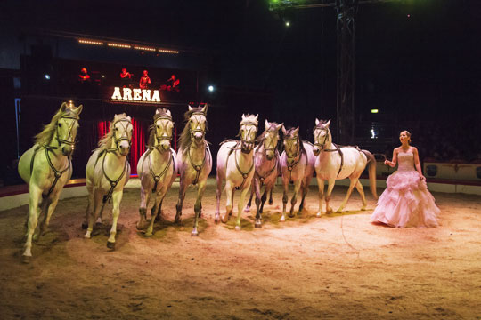 Cirkus Arena g�ster Bornholm i en uge