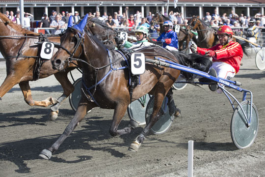 Skandinavisk spil p� travbanen gav store pr�mier