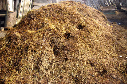 Gr�n g�dning til haven