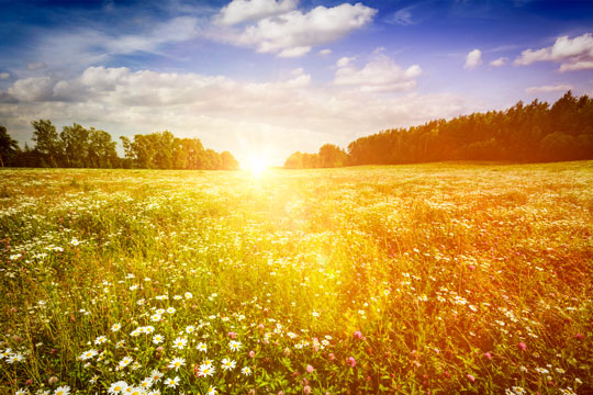 Solen giver jorden br�ndstof