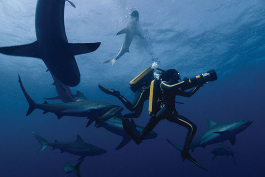 Med Jacques Cousteau p� eventyr