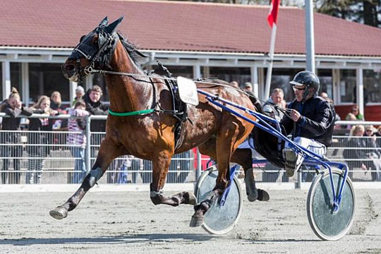 Bornholmeropdr�t forts�tter med at vinde i Tyskland