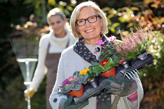 Plant blomster ud i maj