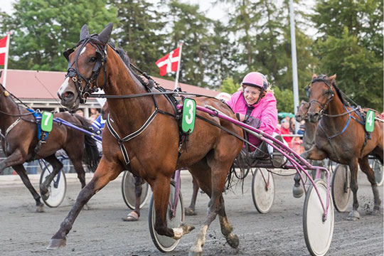 Nye startlister til travbanen i dag