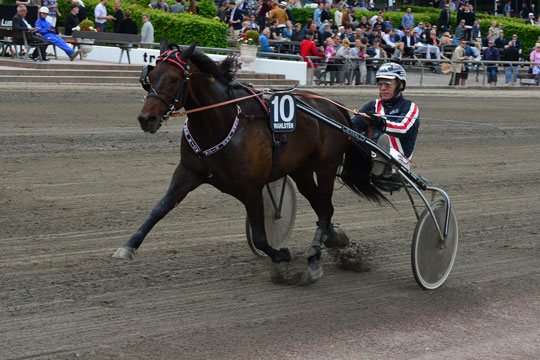 Bornholmer k�ber travhest i hovedstaden