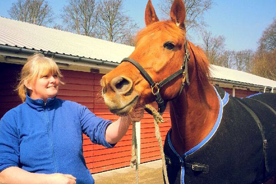 Hest udg�r p� travbanen og forlader Bornholm