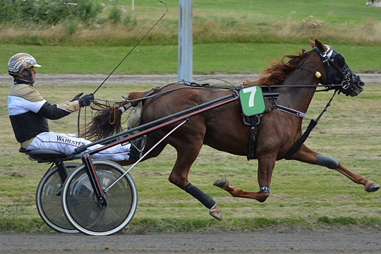 Bornholmsk opdr�t outsider i aften