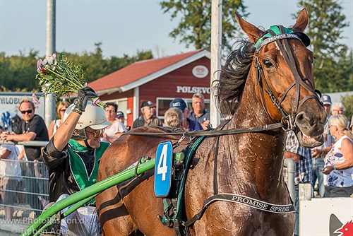 Sejrshoppe er nu bed�kket