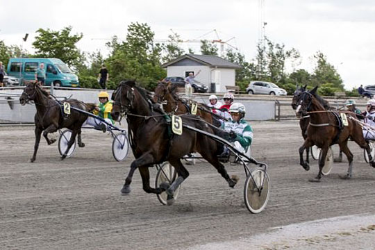 Bornholmeropdr�t til sm� penge debutvandt