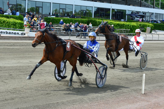 Topchance til bornholmske halvbr�dre i dag