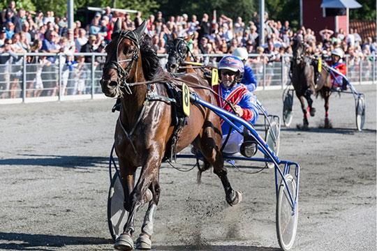 Bornholmsk sejrshest p� sv�r opgave i aften