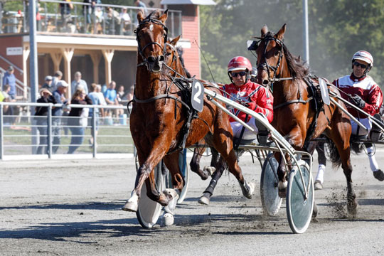 Store pr�mier ved de tre pionerers dag
