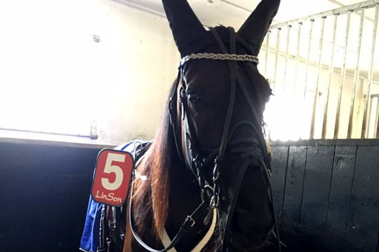 Delejet bornholmsk hest vandt i banerekord