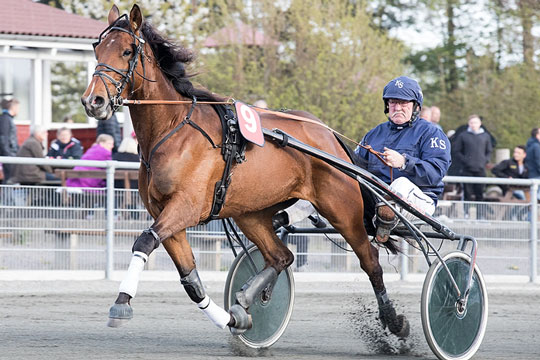Str�by tror p� topchance trods afbud fra fl�jhesten