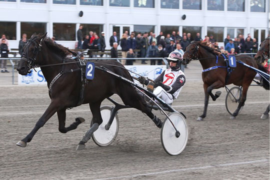 Tocifret antal bornholmere med i direkte TV-lodtr�kning