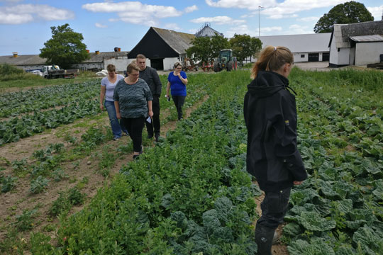 Brugsens gr�nne folk p� bes�g i marken