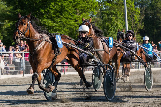 Bornholmer rejser til EM i dag